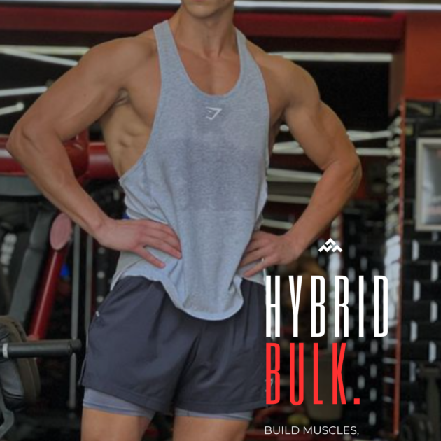 Hybrid Bulk Program